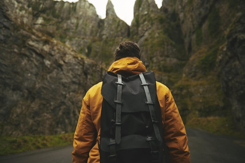North Face Borealis Backpack